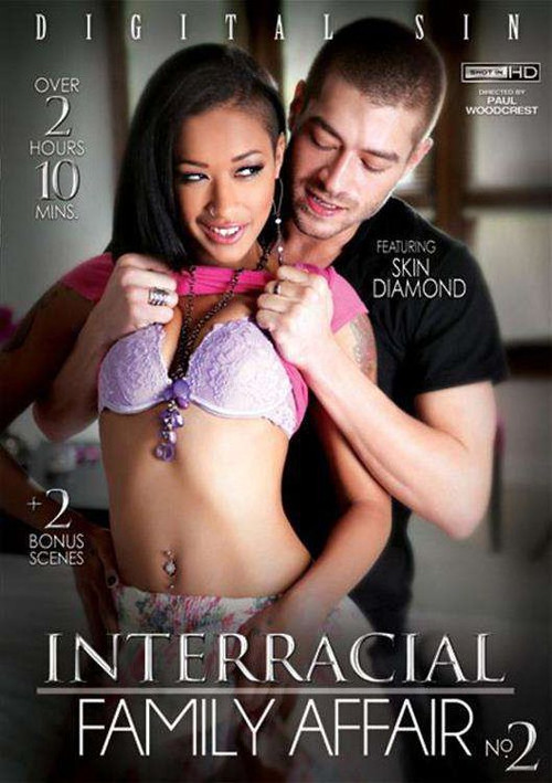 Interracial Family Affair 2 (2015) poster