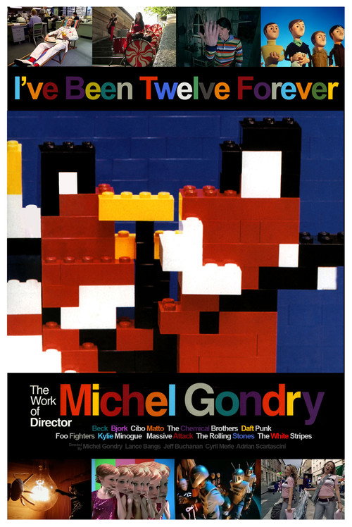 I've Been Twelve Forever: The Work of Director Michel Gondry (2004) poster