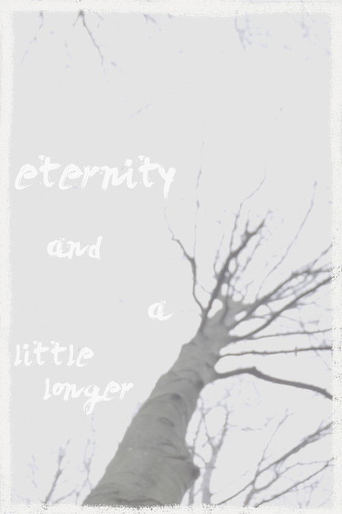 eternity and a little longer (2025) poster