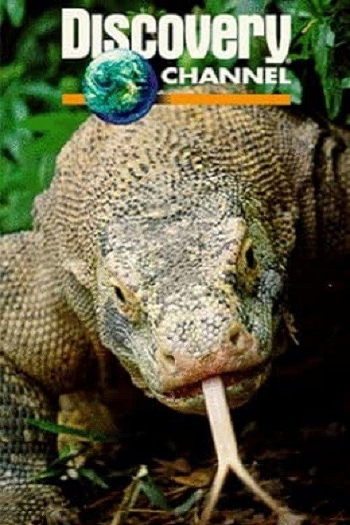 Dragons of Komodo poster