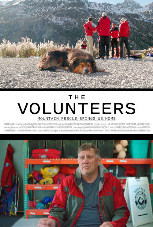 The Volunteers poster
