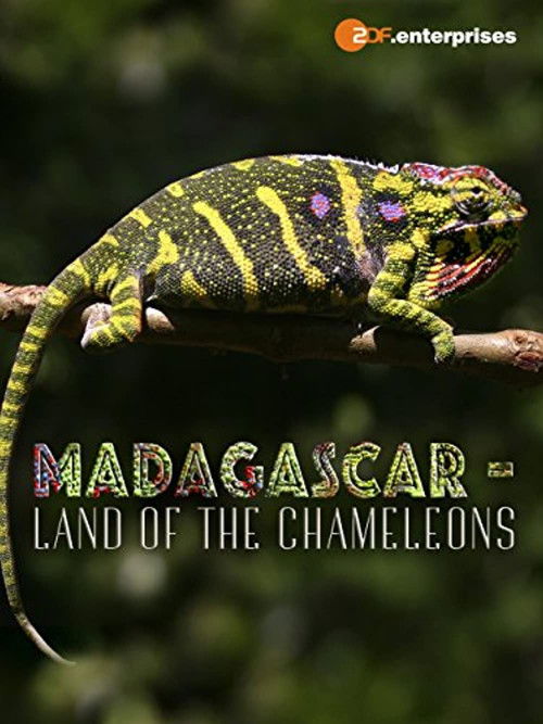Madagascar: Land of the Chameleons (2012) poster