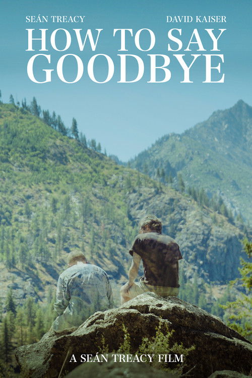 How To Say Goodbye (2024) poster