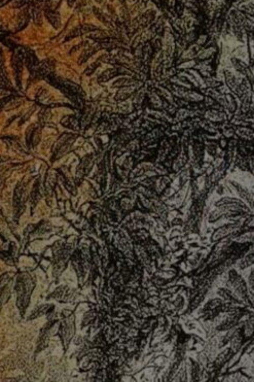 Visões do Paraíso (2023) poster