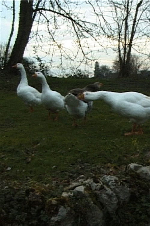 Le Jeu de l'oie du Professeur Poilibus (2007) poster