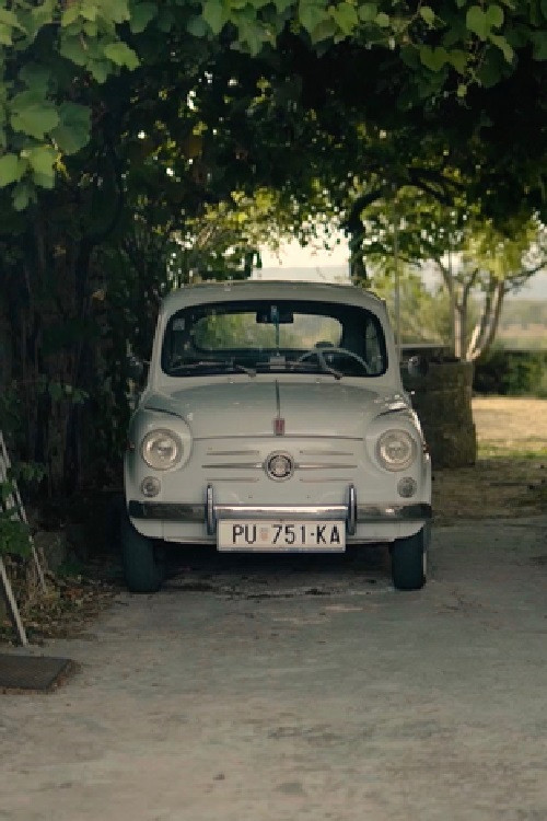 Postcards: Momjan (2019) poster