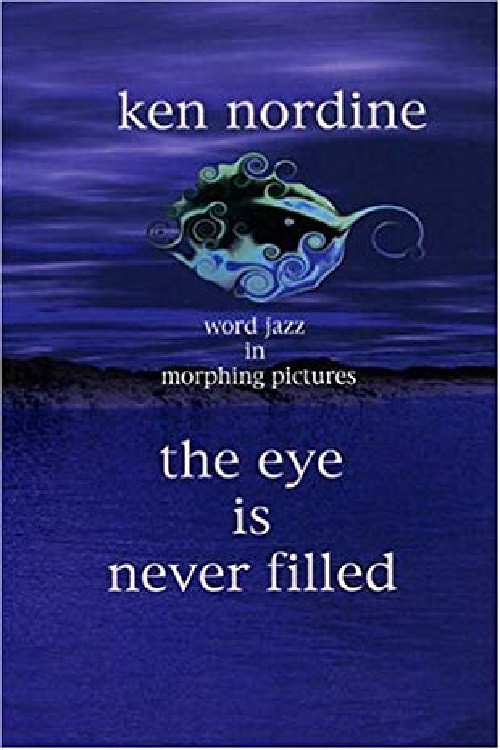 The Eye Is Never Filled (2005) poster