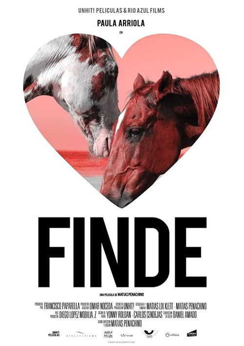 Finde (2010) poster