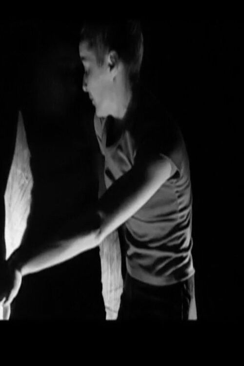 MAZY-systems of transitions poster