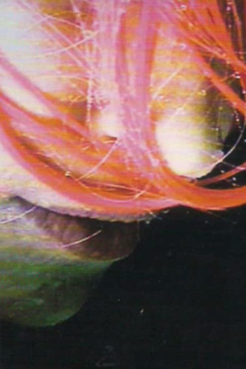 Rainwoman (I Am Called a Plant) (1999) poster