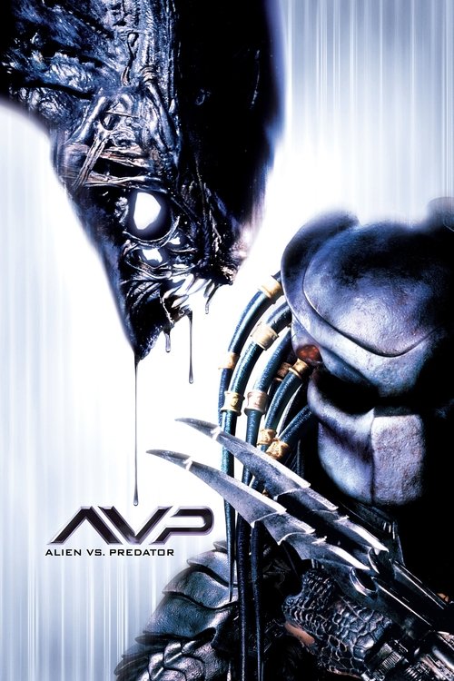 Alien Predator'a Karşı (2004) poster