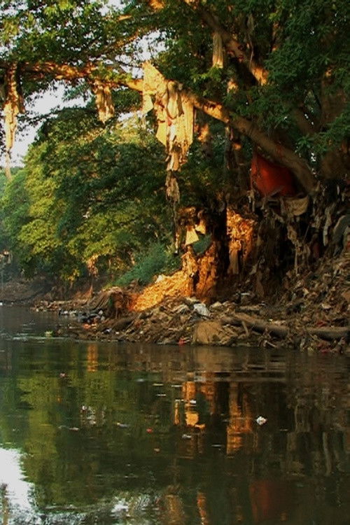 Paradise Later (2010) poster