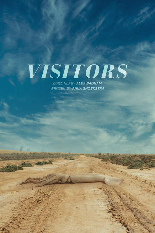 Visitors (2021) poster