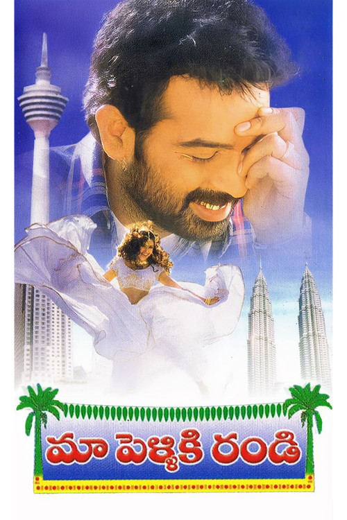 Maa Pelliki Randi (2001) poster