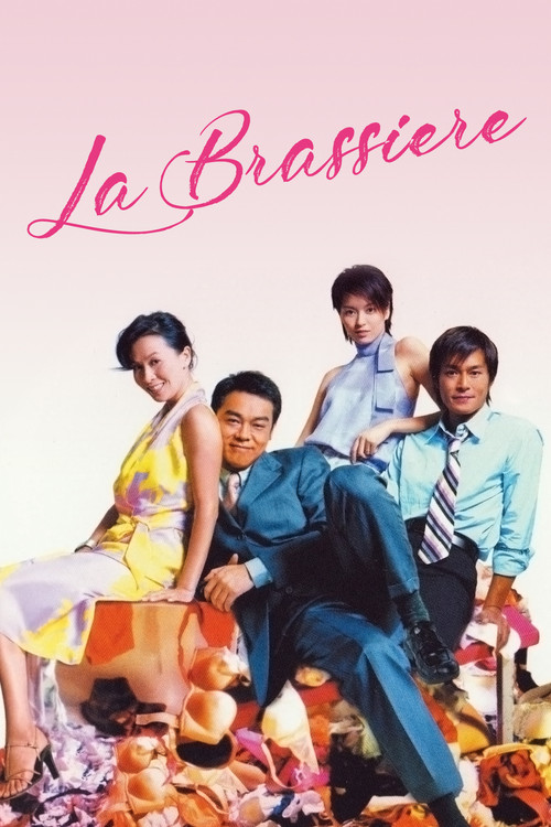 絕世好Bra (2001) poster