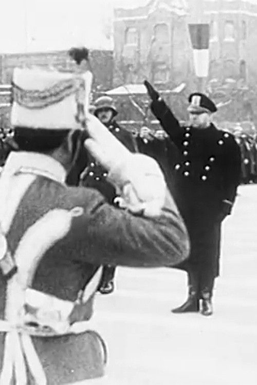 Mozgóképanalízis (1977) poster