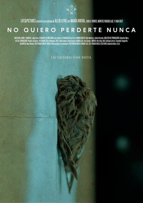 No quiero perderte nunca (2017) poster