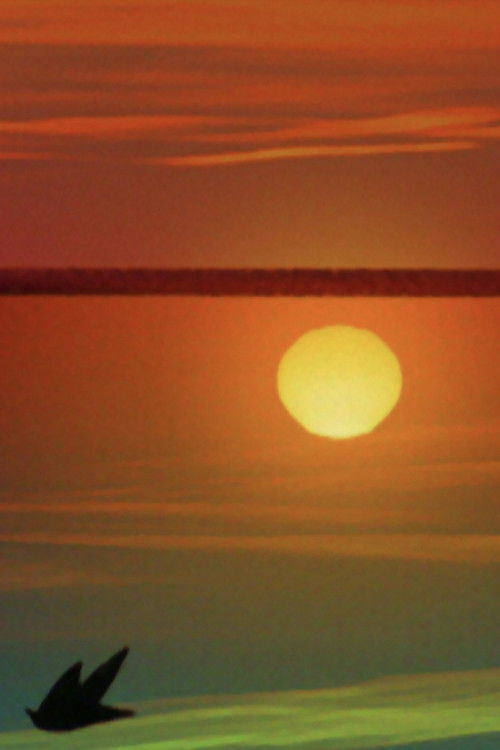 Morning After the Deluge (2003) poster