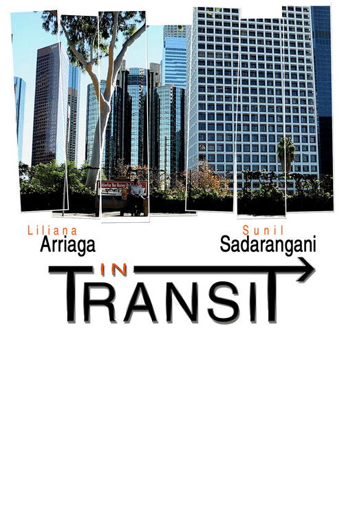 In Transit (2012) poster