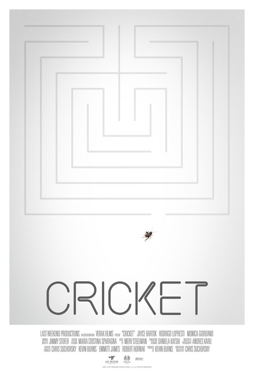 Cricket (2021) poster