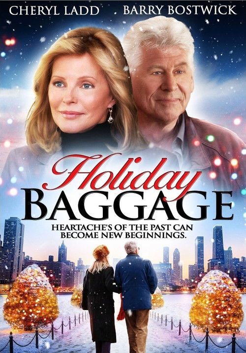 Holiday Baggage (2008) poster