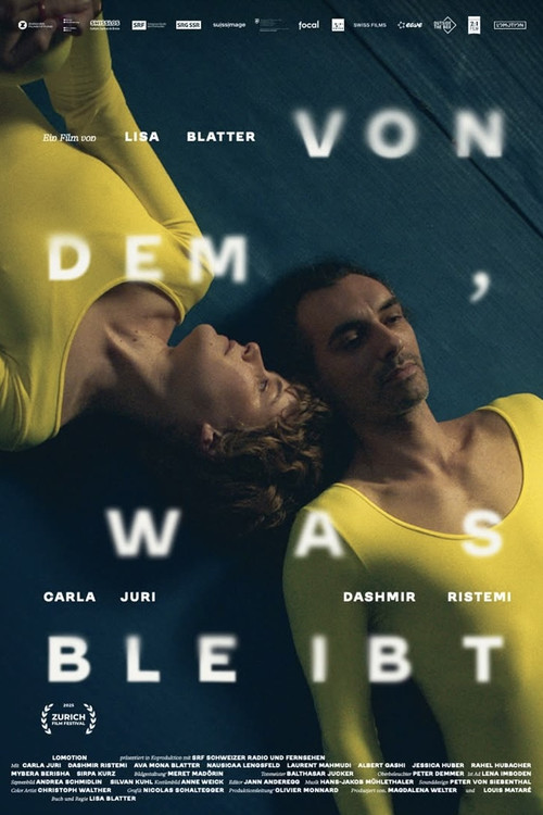 Traces of What Remains (2025) poster