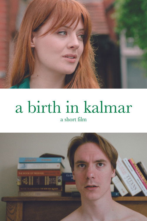A Birth in Kalmar (2024) poster
