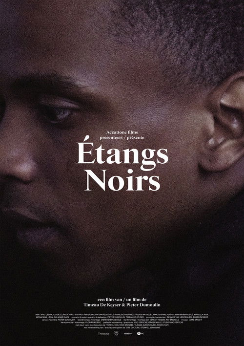 Étangs Noirs (2018) poster