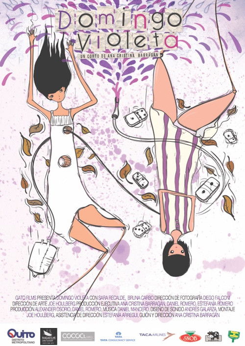 Violet Sunday (2011) poster