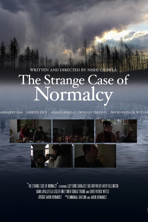 The Strange Case for Normalcy (2023) poster