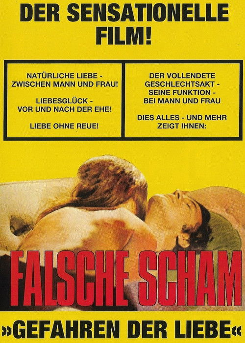 Falsche Scham - Gefahren der Liebe (1977) poster