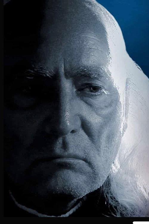 Hidalgo, Frenesí de Libertad (2010) poster