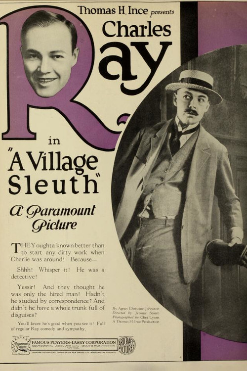 A Village Sleuth (1920) poster
