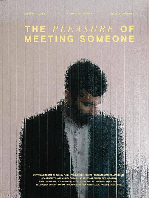 The Pleasure of Meeting Someone (2023) poster