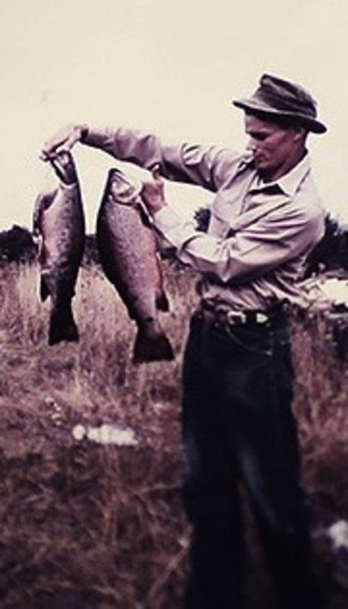 Preparations for the Forest: A Portrait of David Footer (2017) poster