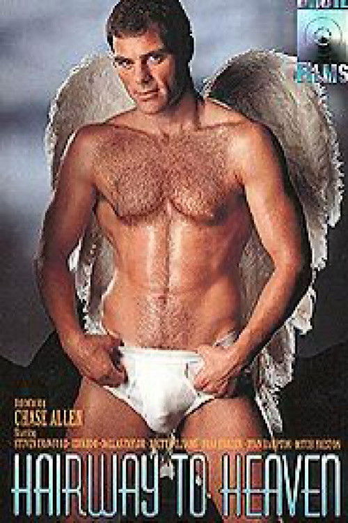 Hairway to Heaven (1995) poster