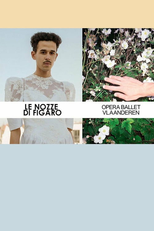 Le Nozze Di Figaro - Opera Ballet Vlaanderen (2023) poster