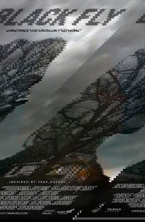 Black Fly (2014) poster