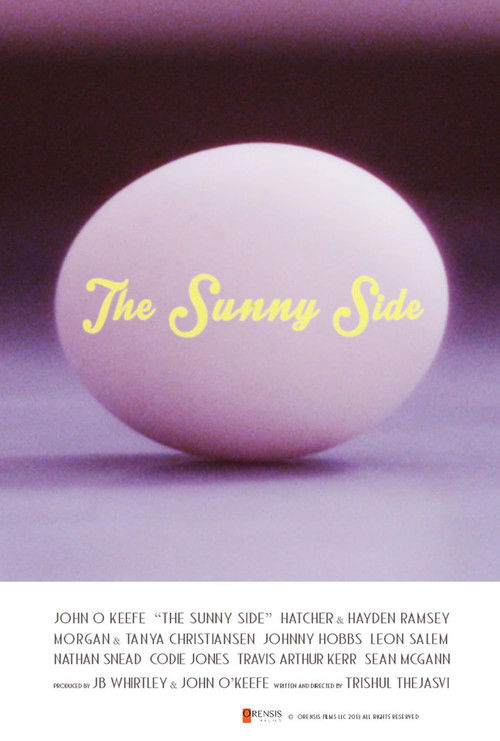 The Sunny Side (2014) poster