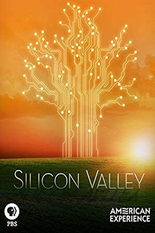 Silicon Valley - Where the Future was Born (2013) poster