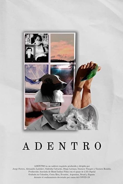 Adentro (2021) poster