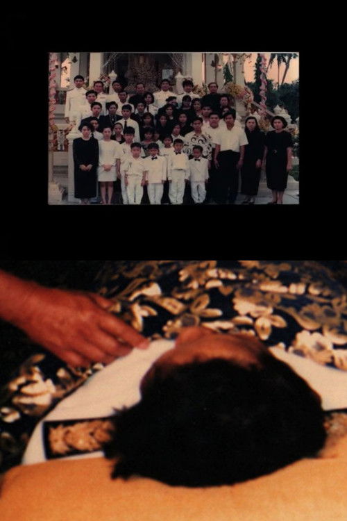 The Return (2008) poster