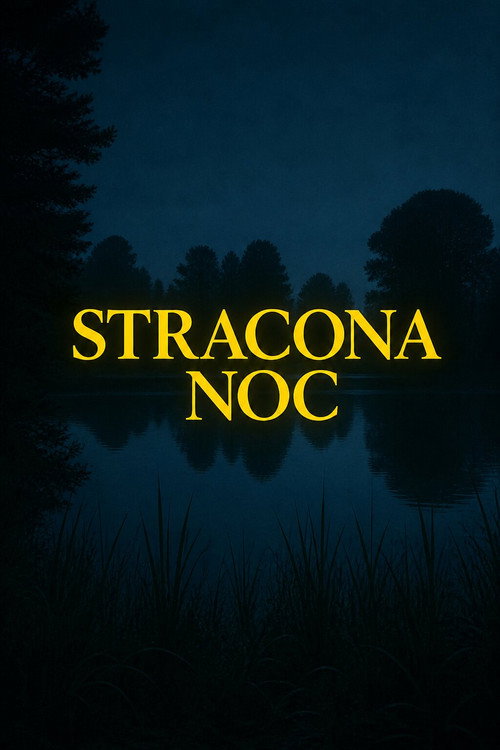 Stracona noc (1974) poster