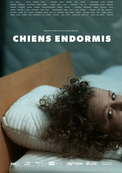 Chiens endormis (2020) poster