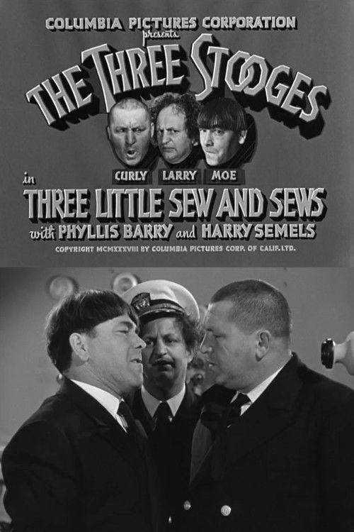 Three Little Sew and Sews (1939) poster