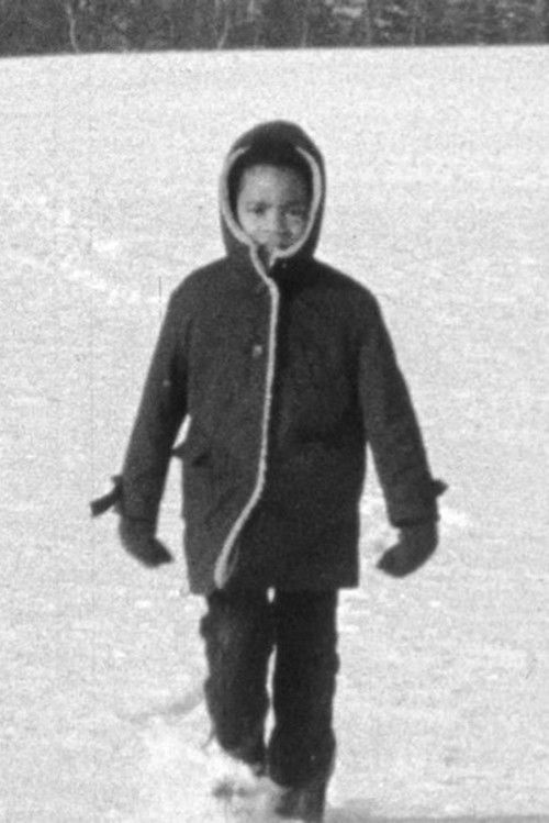 Cultural Nationalism (1968) poster