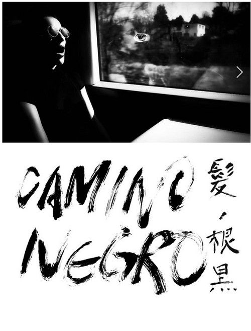 Camino Negro (2013) poster
