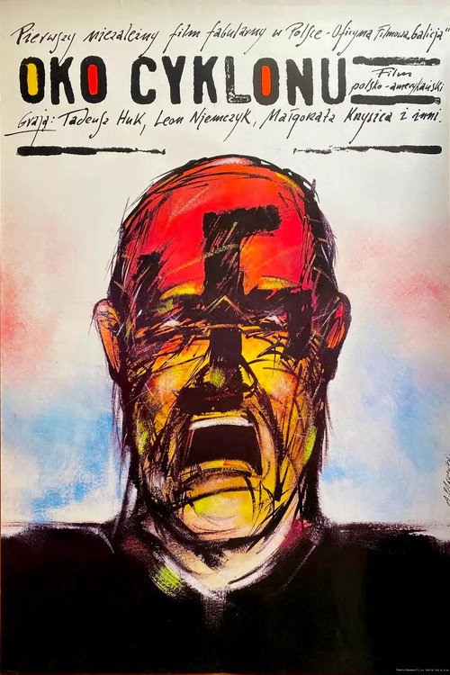 Oko cyklonu (1990) poster