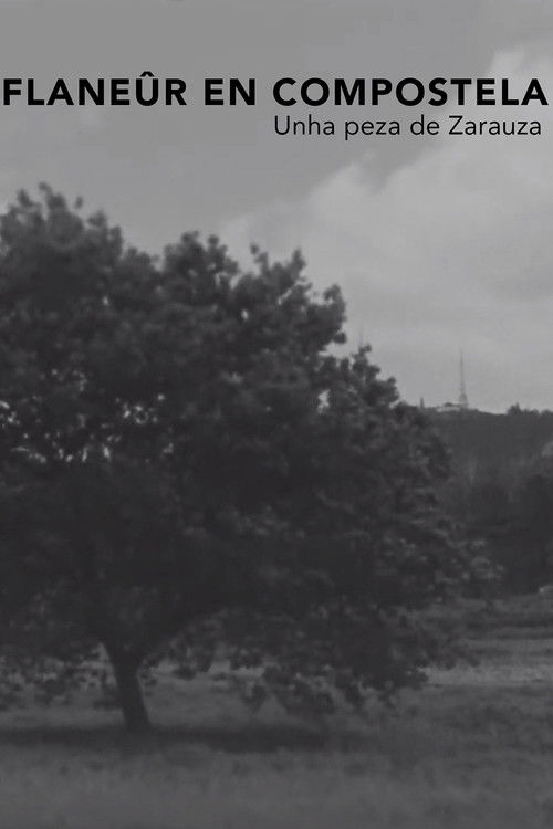 Flanêur en Compostela (2020) poster