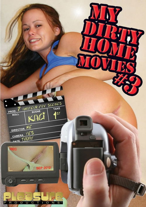 My Dirty Home Movies 3 (2012) poster